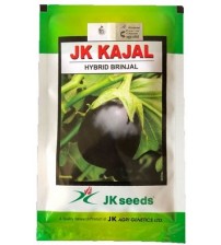 Brinjal JK Kajal